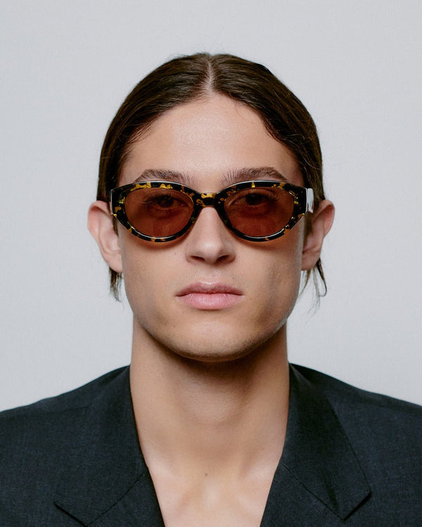 Winnie / Black Yellow Tortoise & Brown Lens - Shade Files